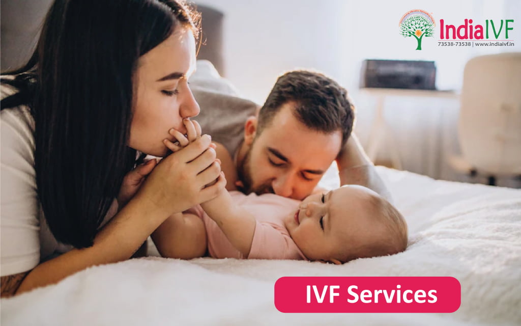 IVF-Services