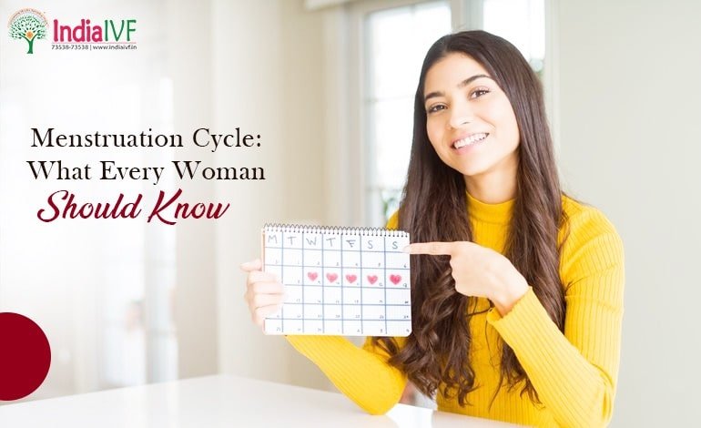 Menstruation Cycle: A Comprehensive Guide with Diagrams, Phases, and Hormones