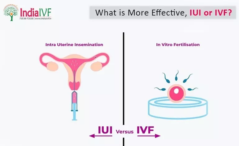 What is More Effective IUI or IVF