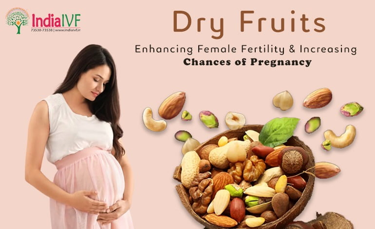 Dry Fruits: A Natural Path to Boost Female Fertility and Conception
