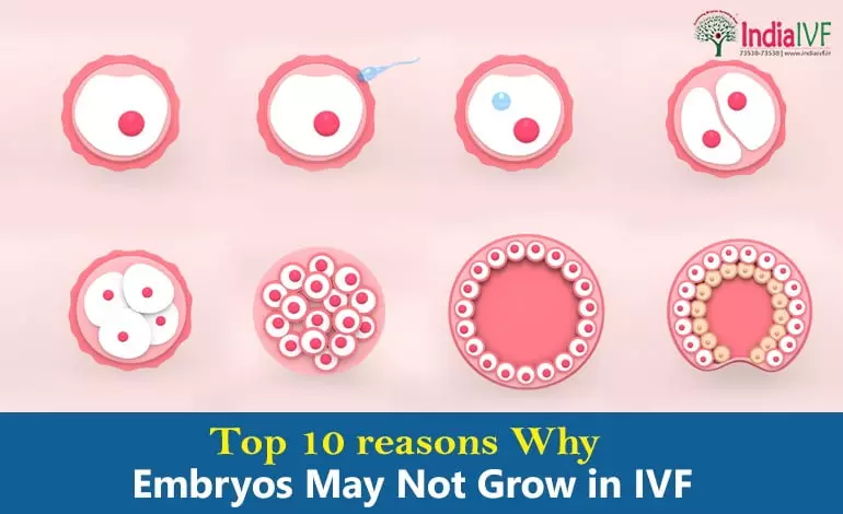 Top-10-reasons-Why-Embryos-May-Not-Grow-in-IVF
