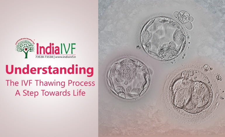 Understanding the IVF Thawing Process : A Step Towards Life
