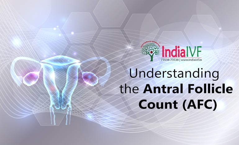 Understanding the Antral Follicle Count (AFC): Your Key to Better Fertility and IVF Success