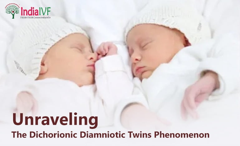 Unraveling the Dichorionic Diamniotic Twins Phenomenon