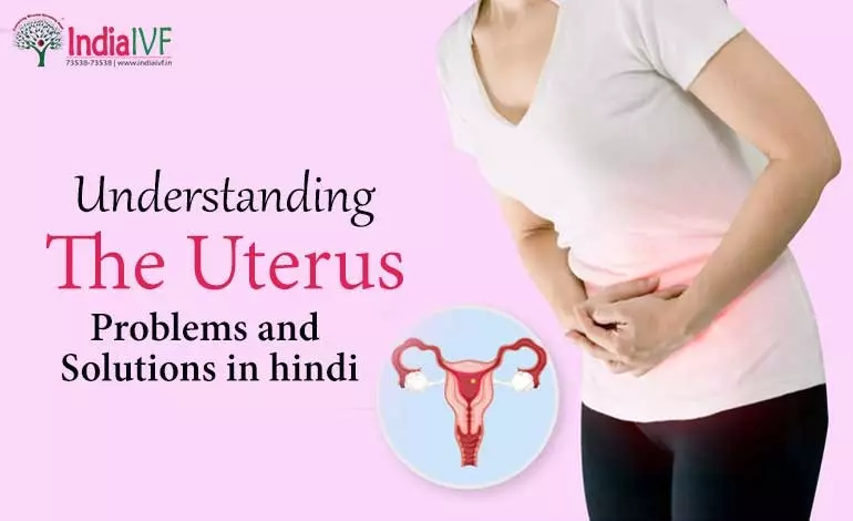 गर्भाशय क्या है? (Uterus Meaning in Hindi/Uterus in Hindi)