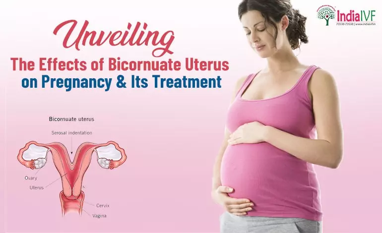 Embracing Fertility: Unveiling the Effects of Bicornuate Uterus on Pregnancy & Its Treatment