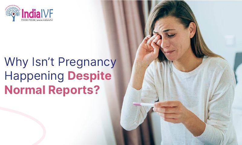 Why Isn't Pregnancy Happening Despite Normal Reports