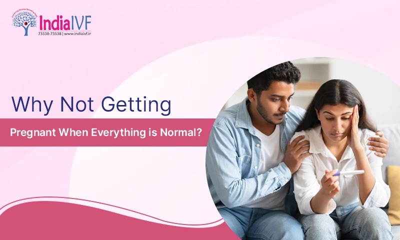 The IVF Answer: Why Not Getting Pregnant When Everything is Normal?