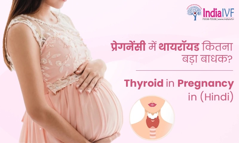 प्रेगनेंसी में थायरॉयड कितना बड़ा बाधक? The Complex Connection Between Thyroid and Pregnancy (Hindi)