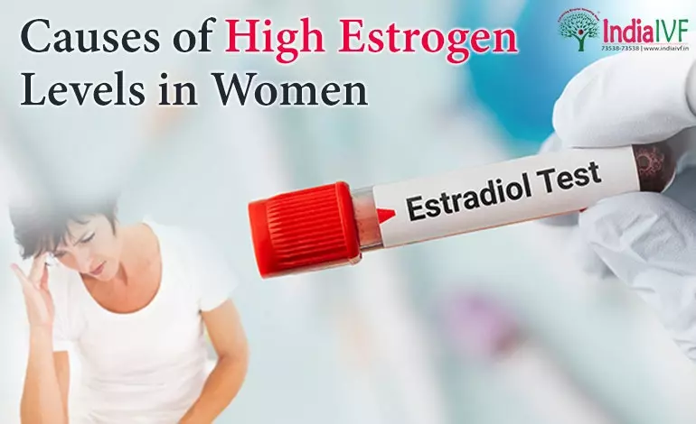Causes of High Estrogen in Women – Impacts & Treatment
