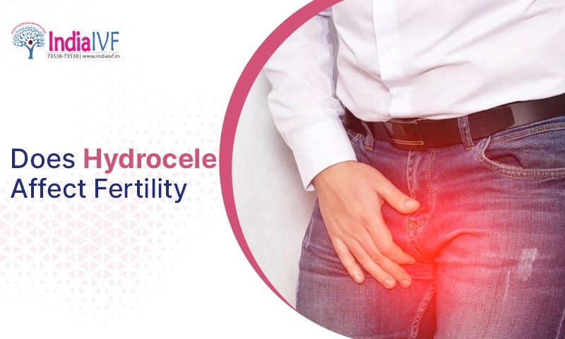 Done Hydrocele Affect Fertility