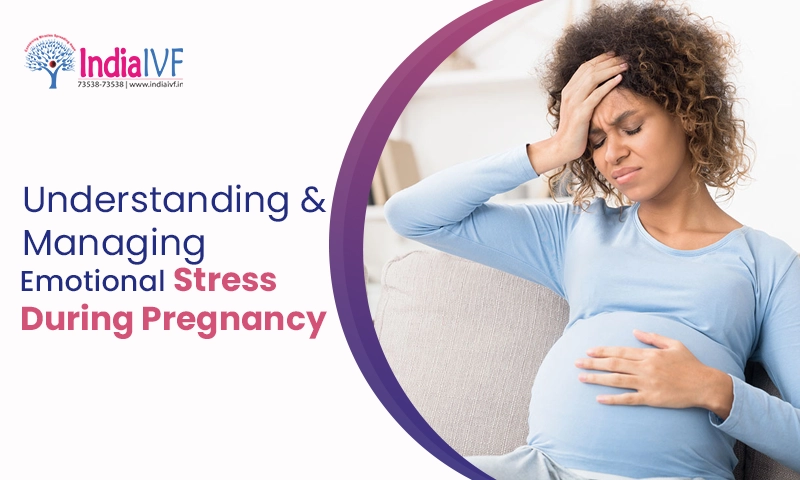 Emotional Stress During Pregnancy Navigating and Coping for a Healthy Journey