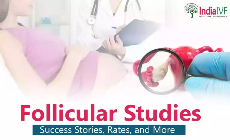 Follicular Studies: Success Stories, Rates, and More