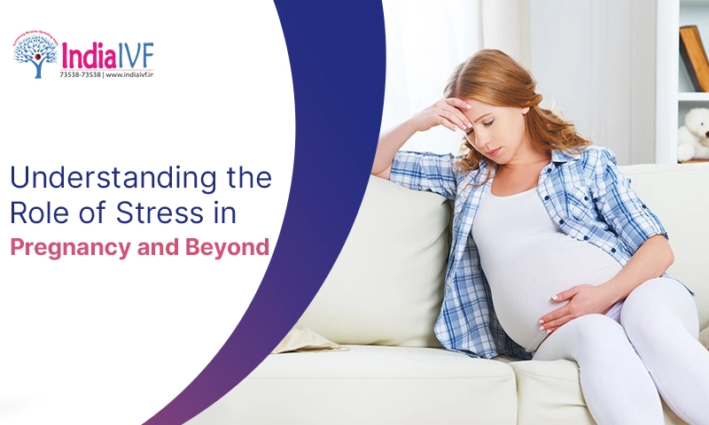From Bump to Birth Understanding the Role of Stress in Pregnancy and Beyond