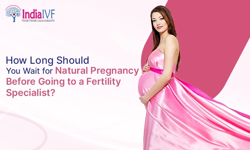 How Long Should You Wait for Natural Pregnancy Before Going to a Fertility Specialist?