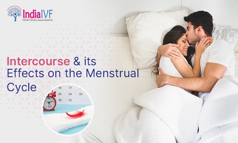 Intercourse & its Effects on the Menstrual Cycle
