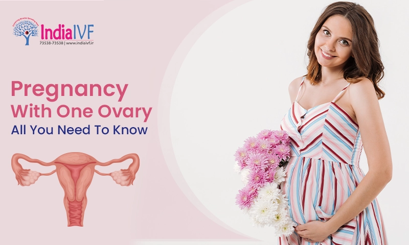 Pregnancy With One Ovary All You Need To Know
