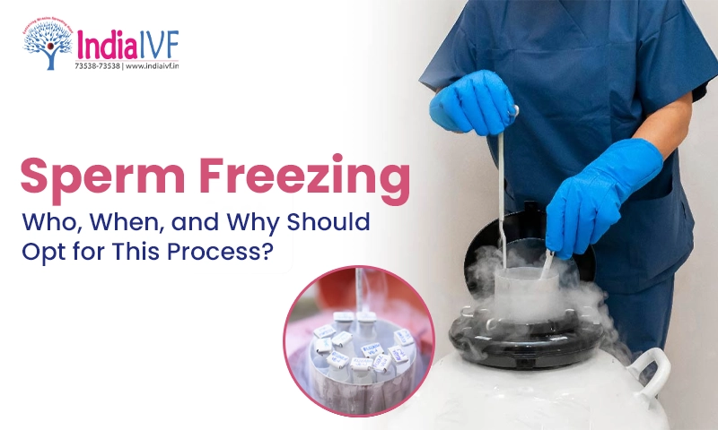Sperm Freezing Who, When and Why Should Opt for This Process