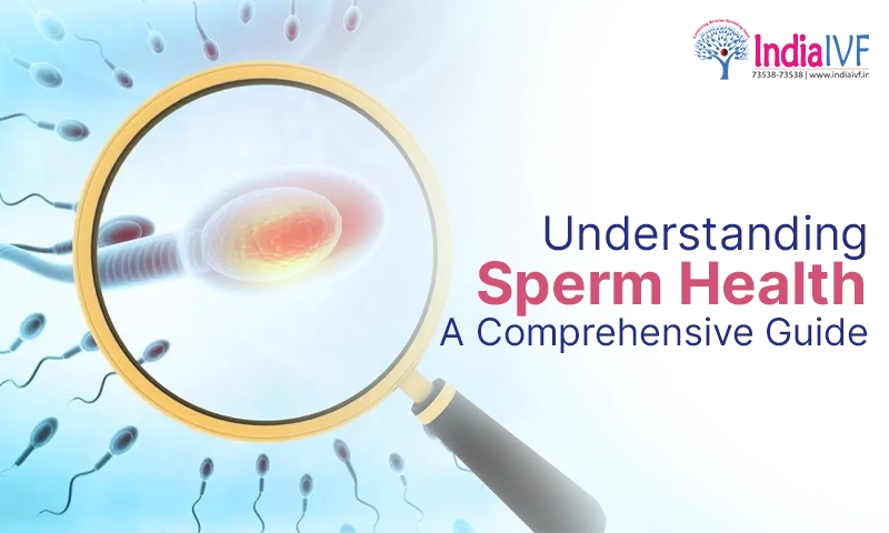 Sperm Health Affecting Factors and How to Improve it