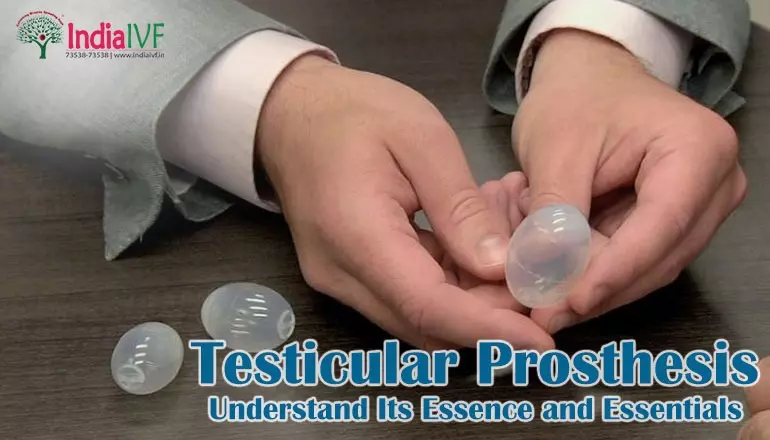 Testicular Prosthesis
