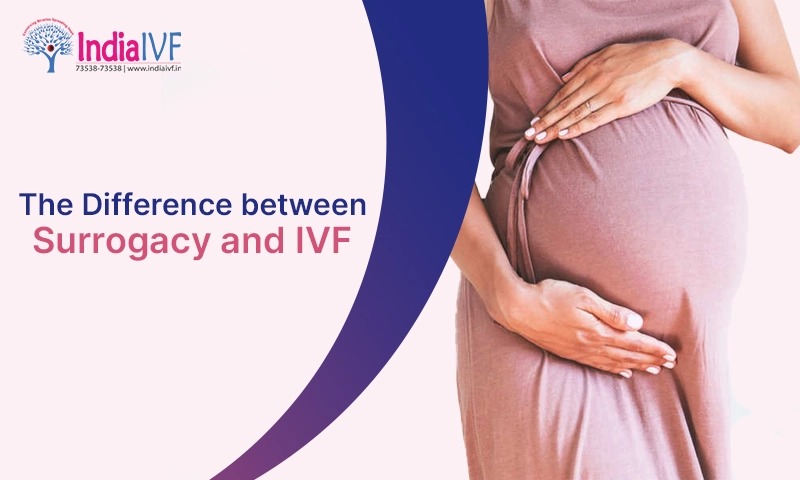 The Difference between Surrogacy and Ivf