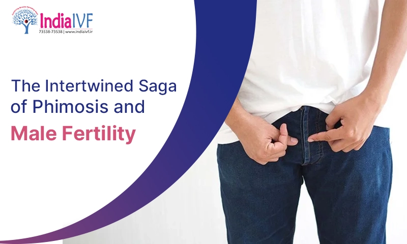 The Intertwined Saga of Phimosis and Male Fertility