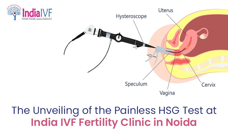 The-Unveiling-of-the-Painless-HSG-Test-at-India-IVF-Fertility-Clinic-in-Noida