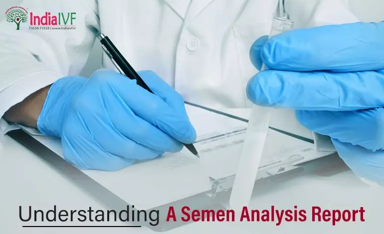 Deciphering A Normal Semen Analysis Report: Mastering Sperm Count, Motility, and Morphology