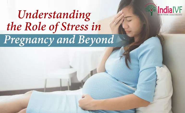 From Bump to Birth: Understanding the Role of Stress in Pregnancy and Beyond