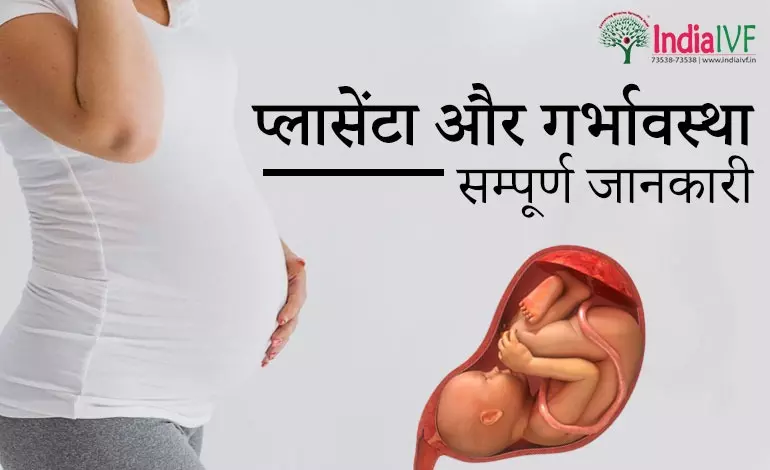 प्लासेंटा और गर्भावस्था: हिंदी में महत्वपूर्ण जानकारी
