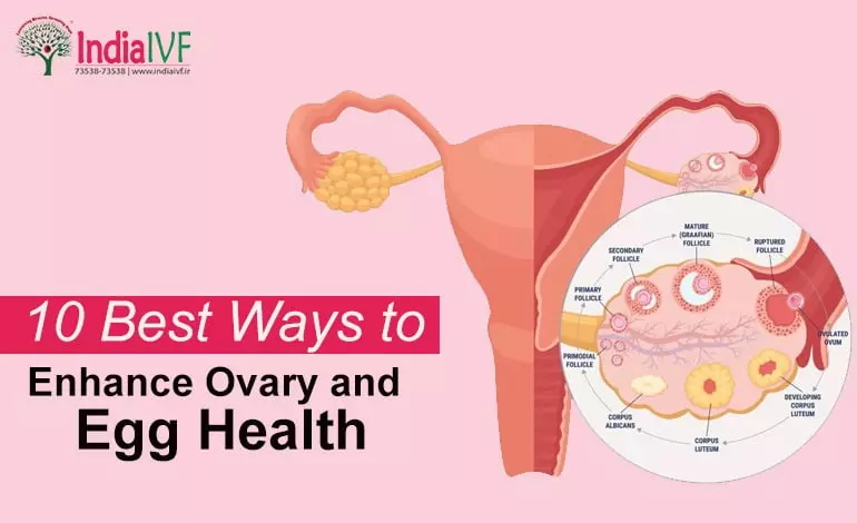 10-Best-Ways-to-Enhance-Ovary-and-Egg-Health