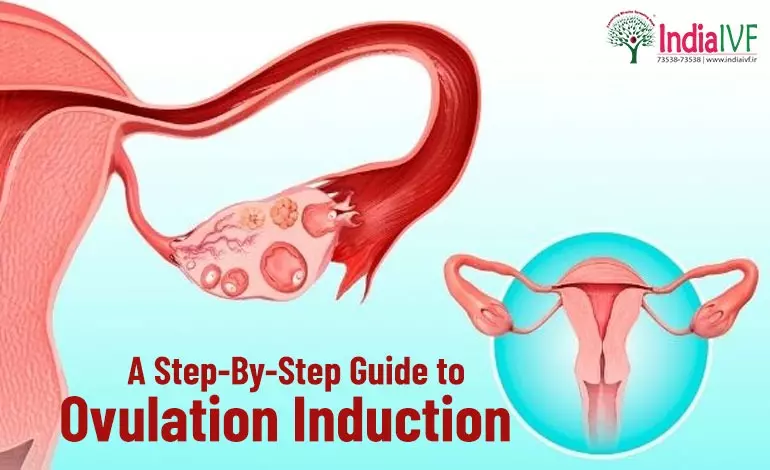 A-Step-By-Step-Guide-to-Ovulation-Induction