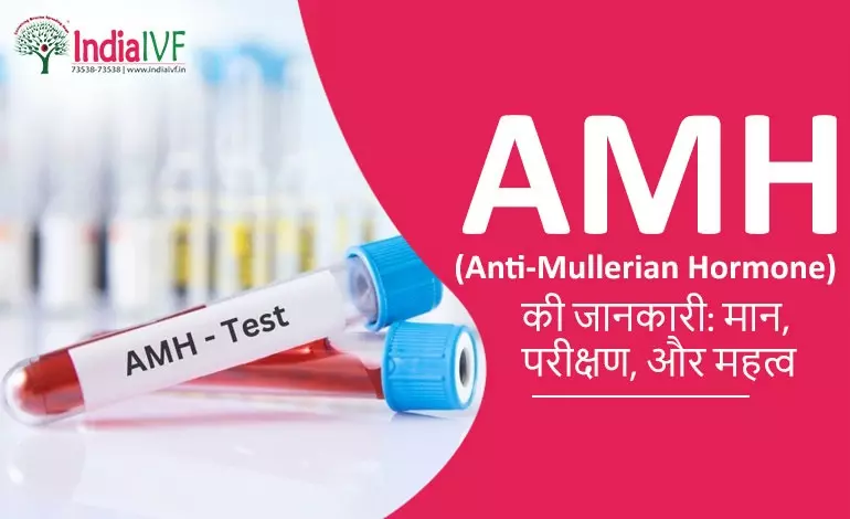 AMH (Anti-Müllerian Hormone) की जानकारी: मान, परीक्षण, और महत्व