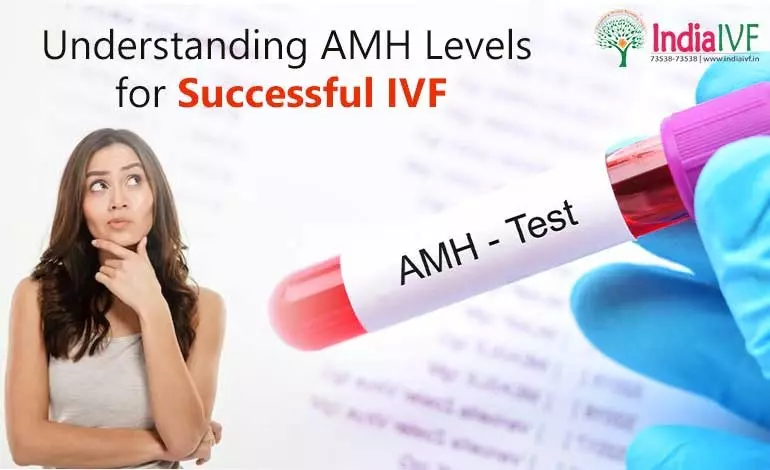 AMH-Levels-for-Successful-IVF