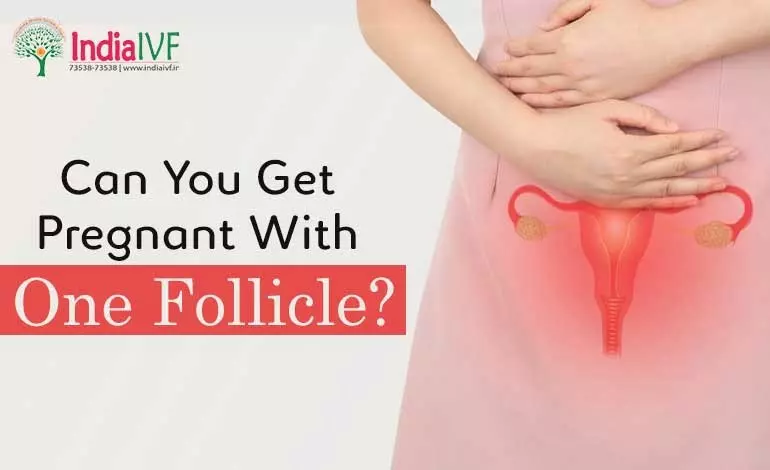 Can-You-Get-Pregnant-With-One-Follicle