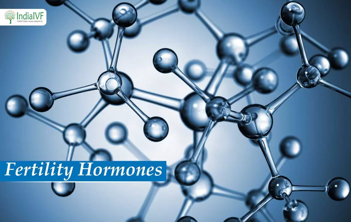 Fertility-Hormones
