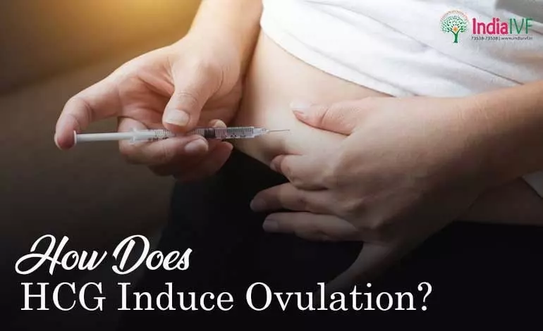 HCG-Induce-Ovulation