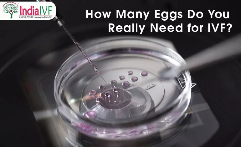 How Many Eggs Do You Really Need for IVF? The Perfect Number, Defining Factors, and More
