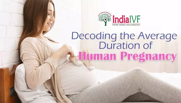Average Duration of Human Pregnancy