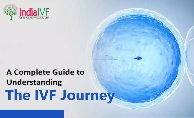 IVF-Journey