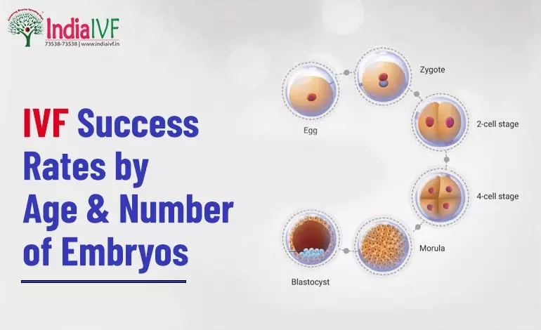 IVF Success Rates by Age & Number of Embryos: Unveiling the Odds