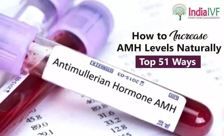 Increase-AMH-Levels-Naturally