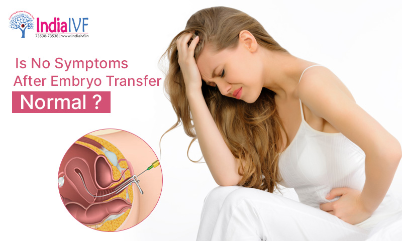 Is No Symptoms After Embryo Transfer Normal_ Navigating the Post-Transfer Journey