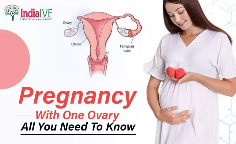 Pregnancy With One Ovary