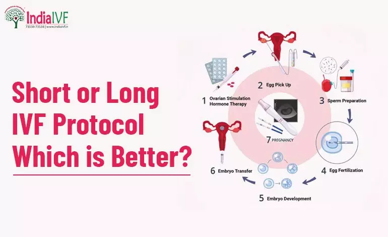 Short or Long IVF Protocol: Which is Better?