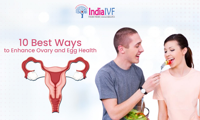 The 10 Best Ways to Enhance Ovary and Egg Health