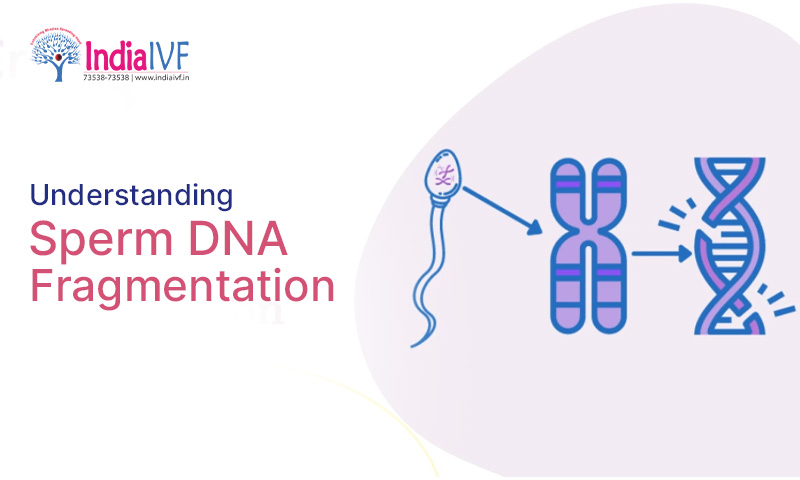 Understanding Sperm DNA Fragmentation A Comprehensive Guide
