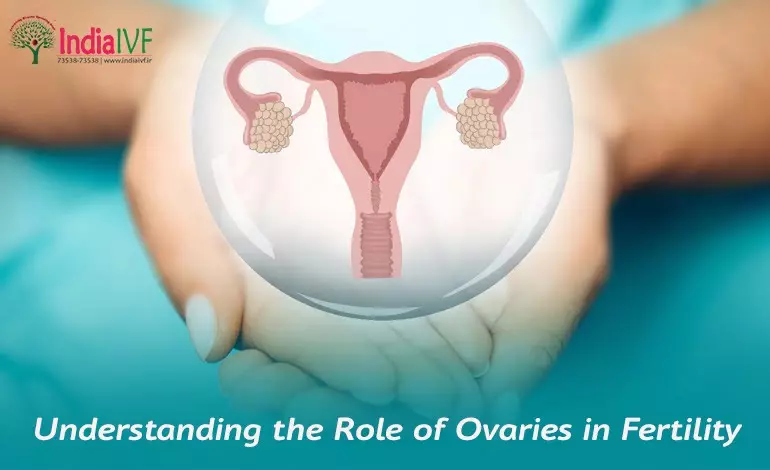 Is Ovary Size Important To Get Pregnant? - Vardaan Medical centre