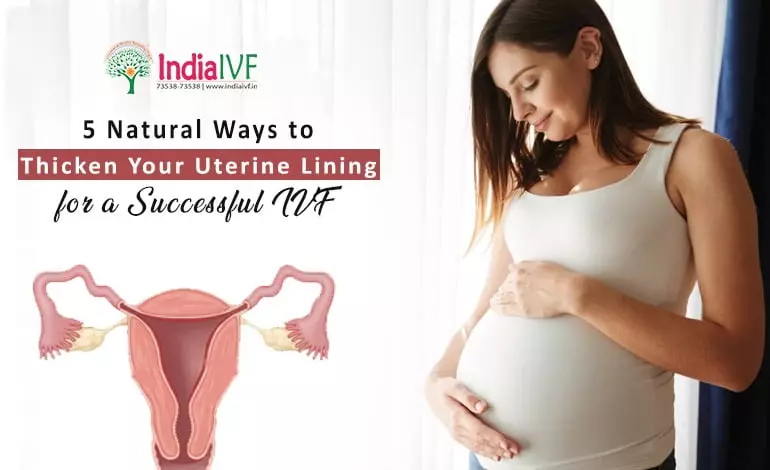 Uterine-Lining-for-a-Successful-IVF