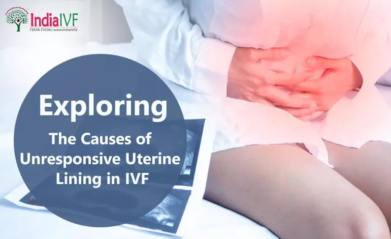 Uterine-Lining-in-IVF